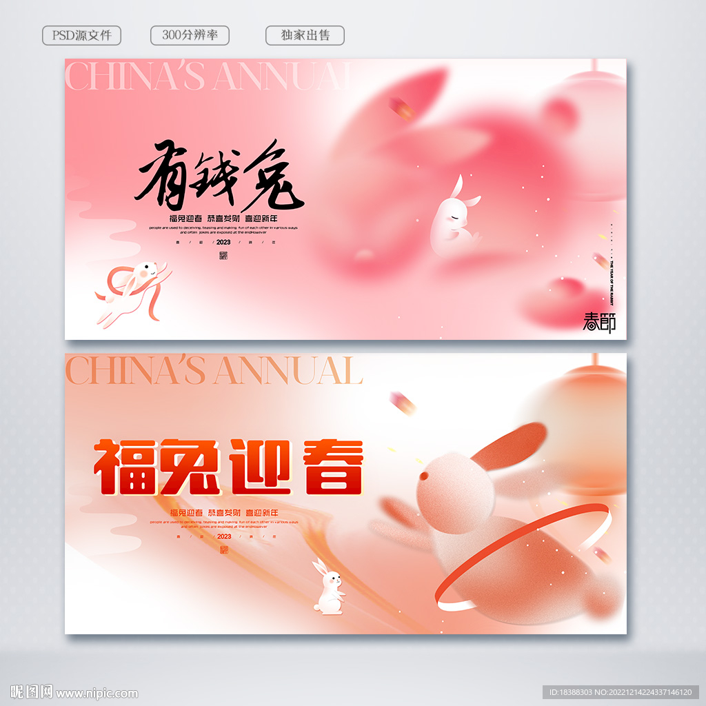 兔年