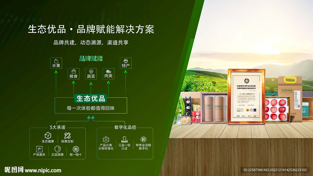 PPT 思维导图 样册
