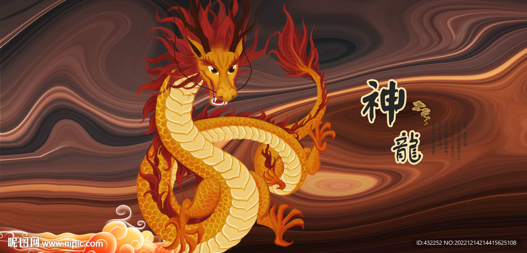 飞龙金龙