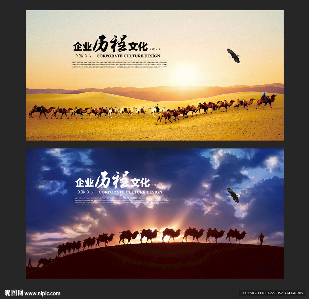 沙漠探险 