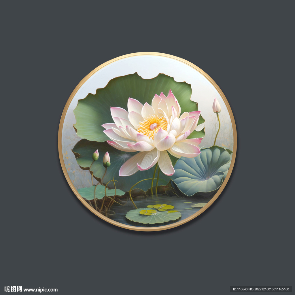 荷花