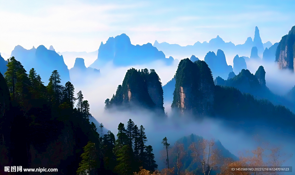 唯美风景画