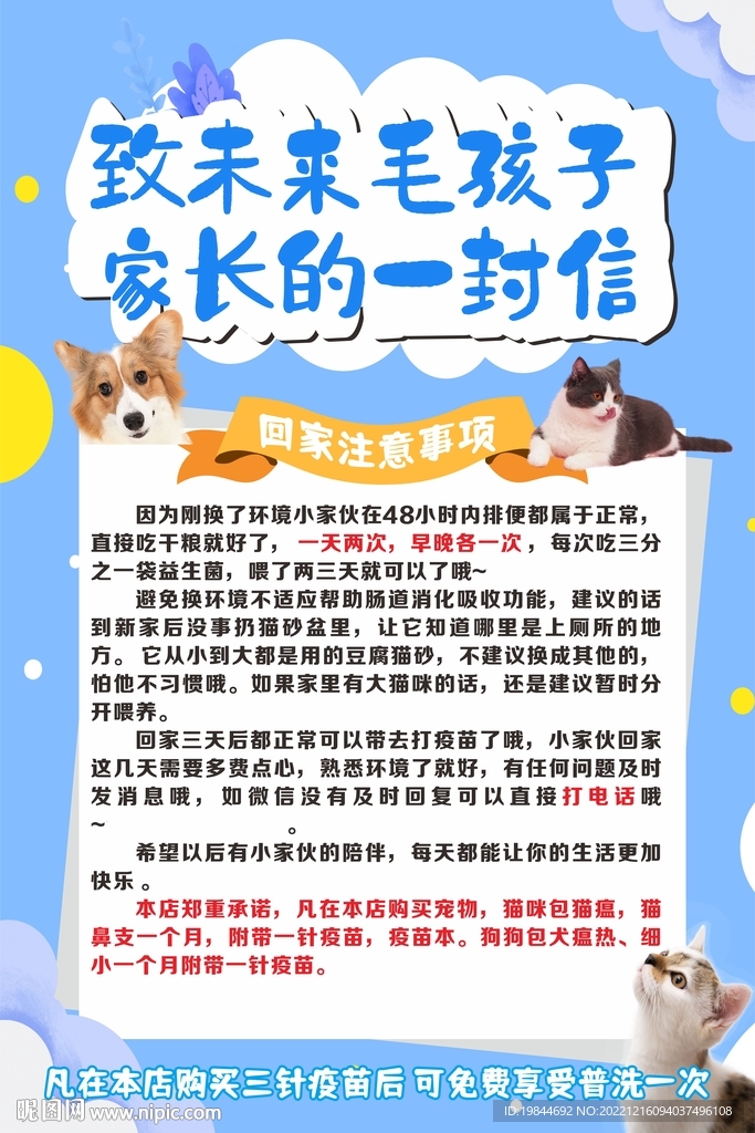 宠物
