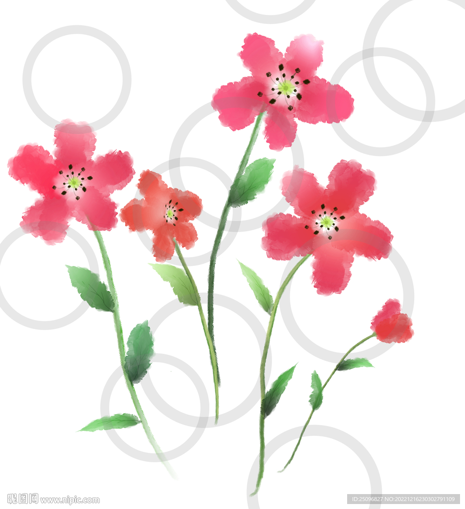 手绘小花