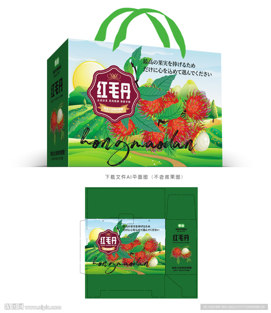 红毛丹设计
