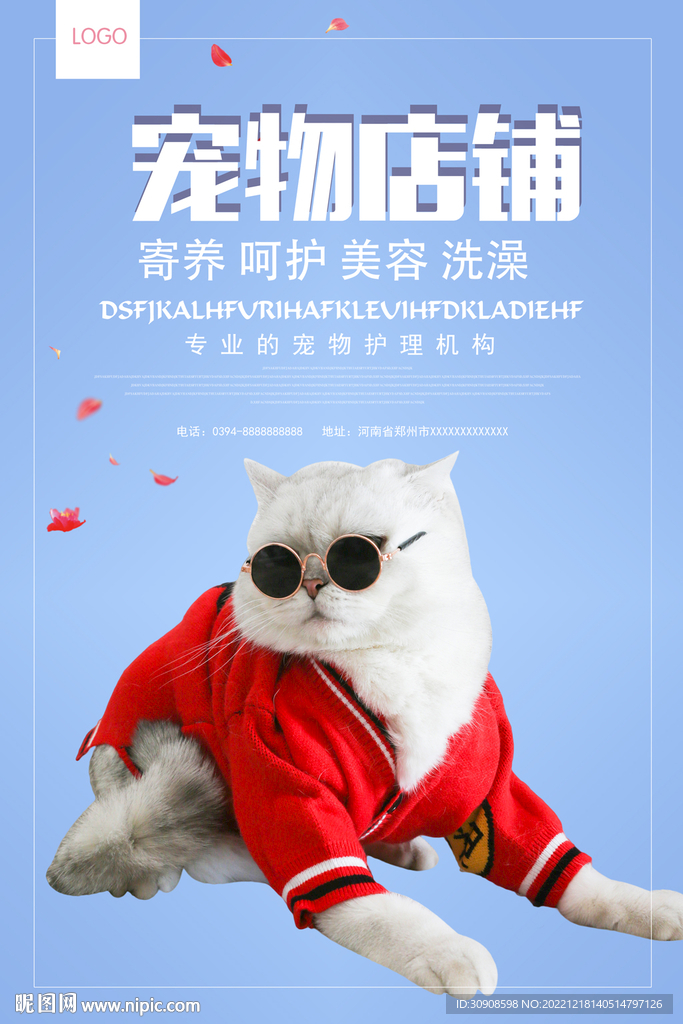 宠物