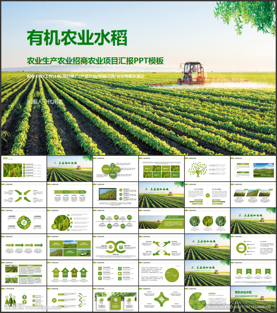 绿色有机水稻农业PPT
