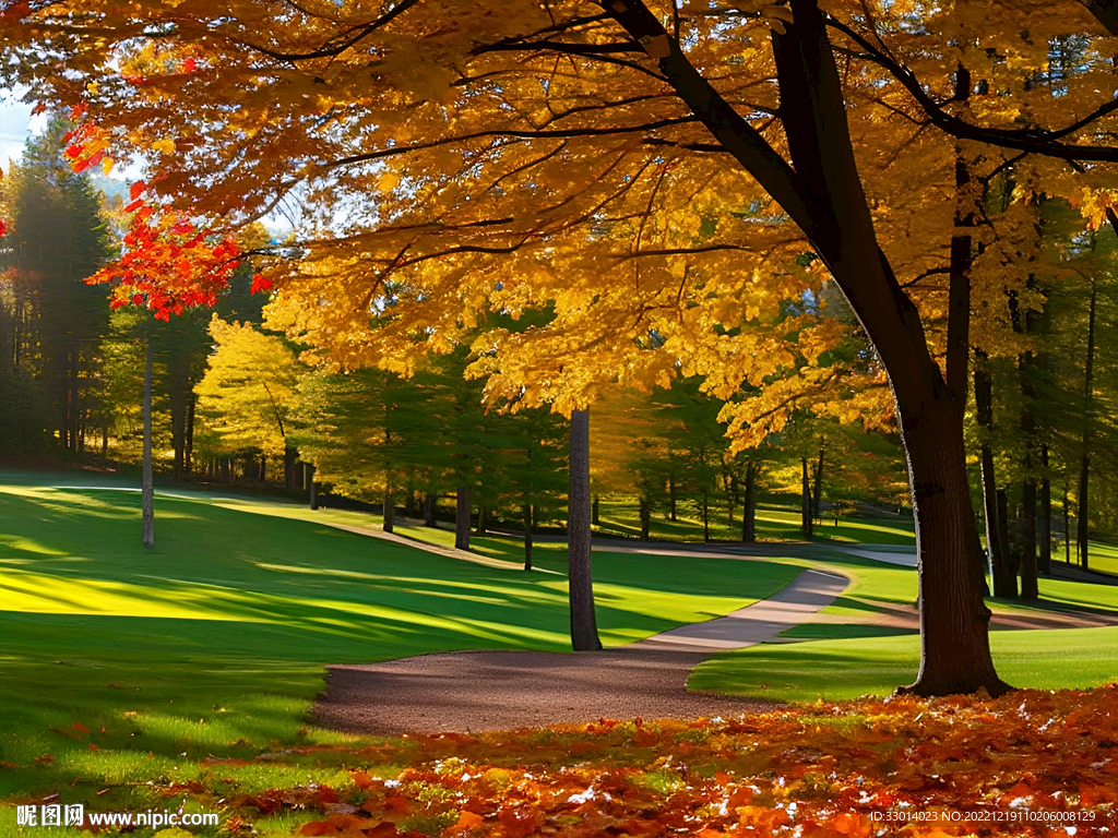 秋天公园风景画