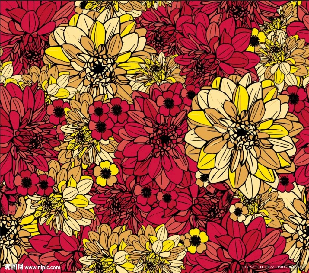 菊花 彩色 手绘