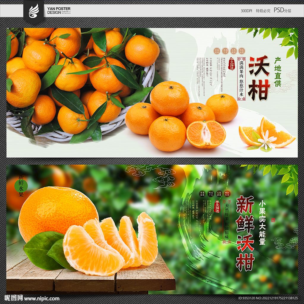 沃柑