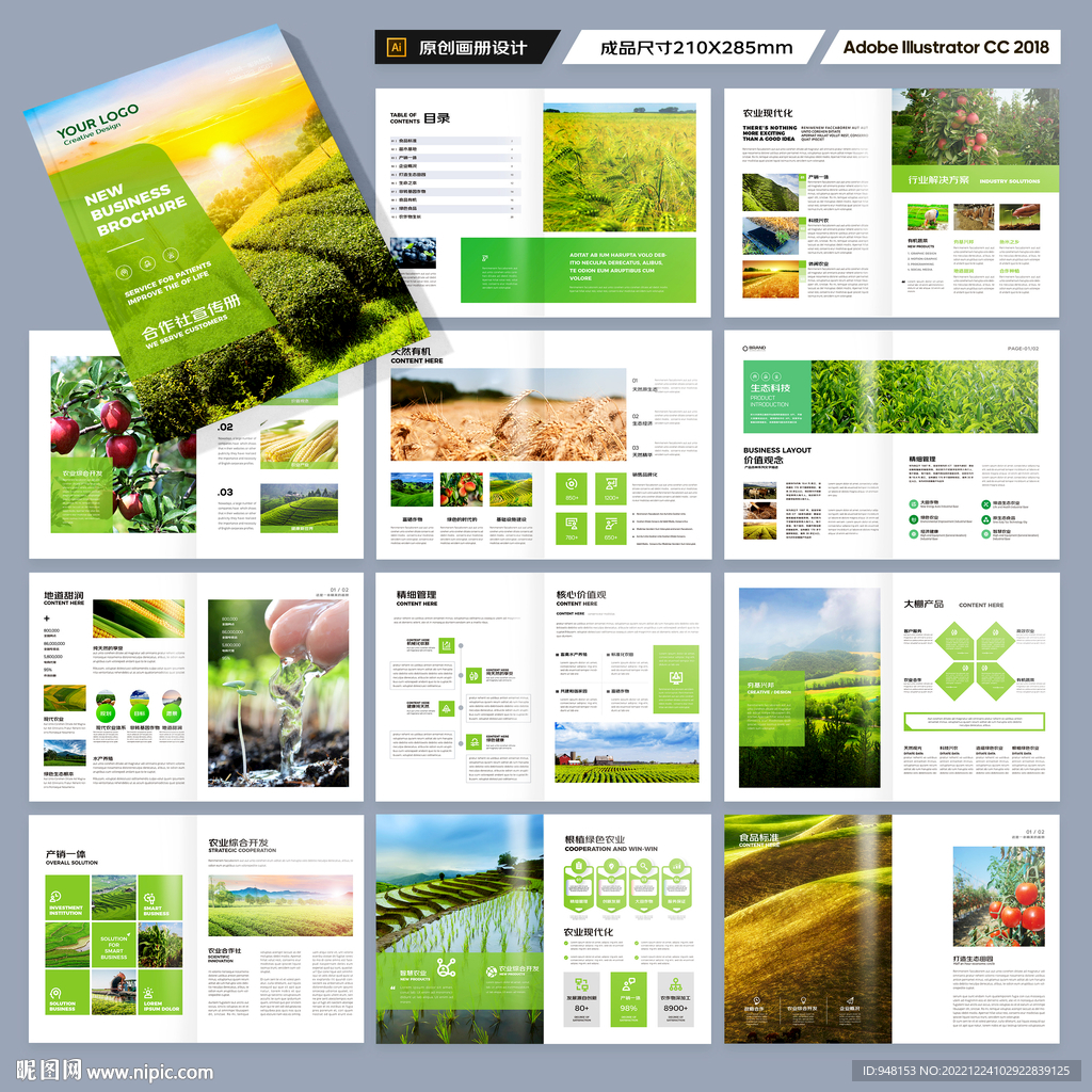 农业合作社画册