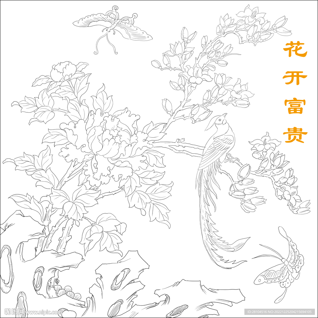 牡丹 