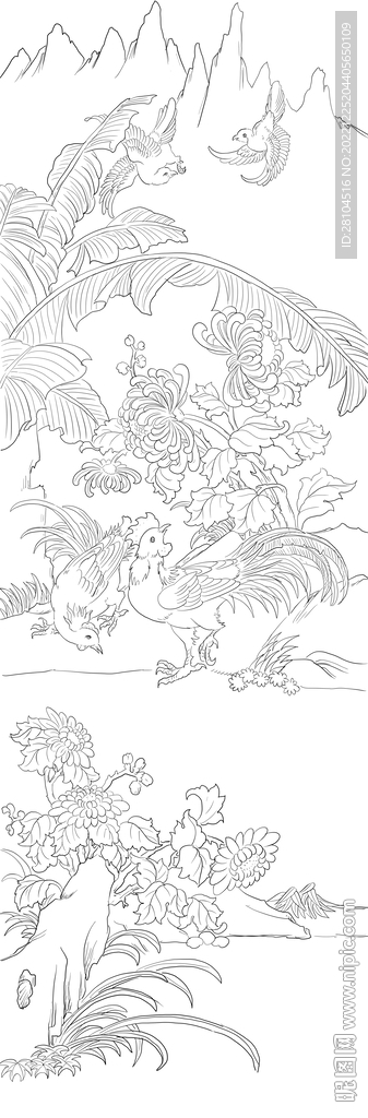 公鸡