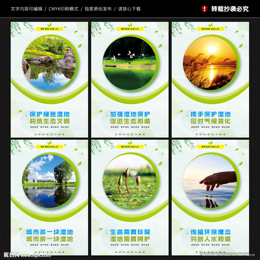 保护湿地 宣传展板