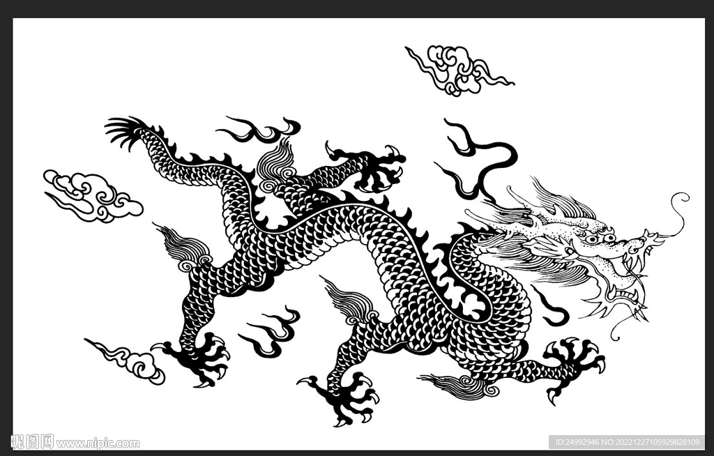 龙 