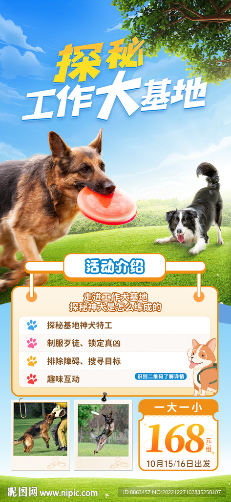 探秘工作犬训练营