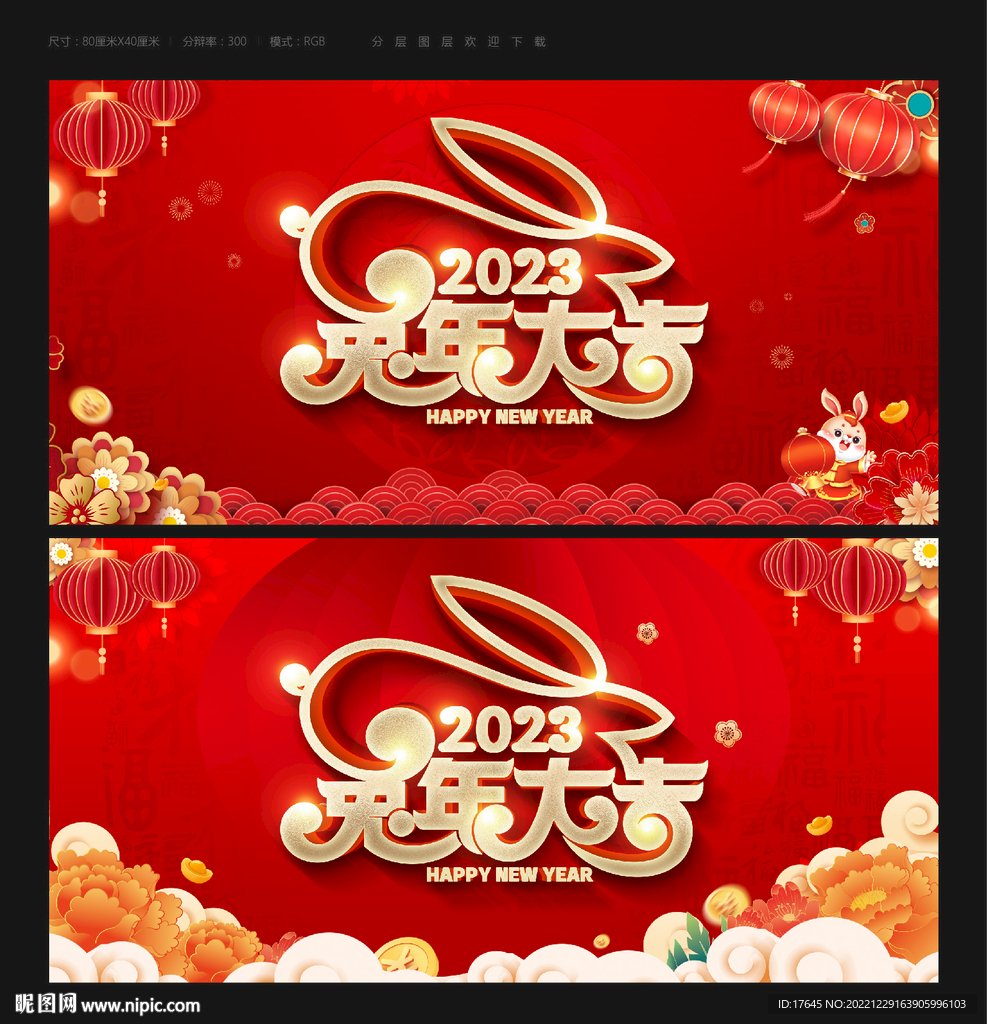 兔年