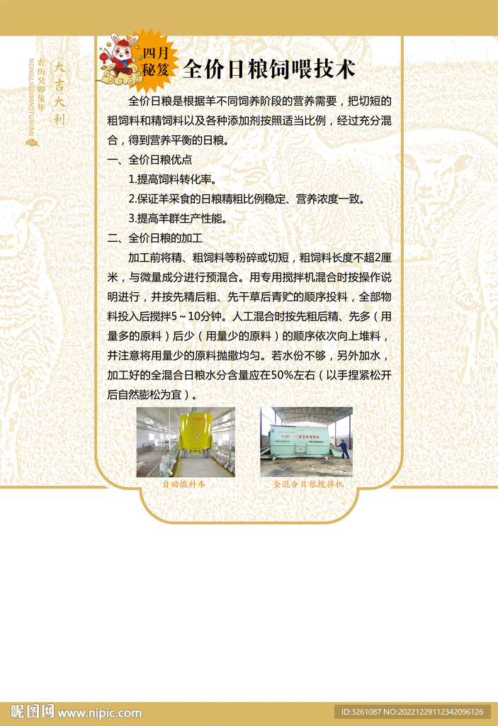 羊养殖海报