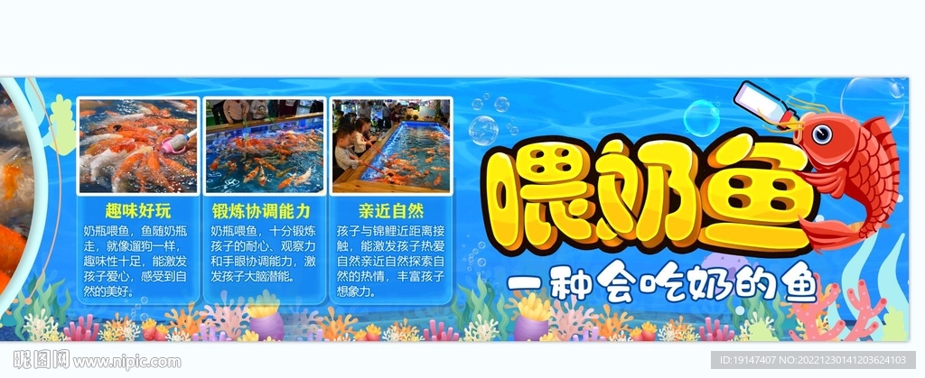 喂奶鱼