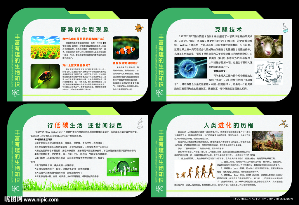 生物文化展板