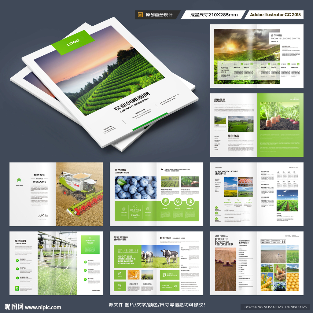 农产品宣传册
