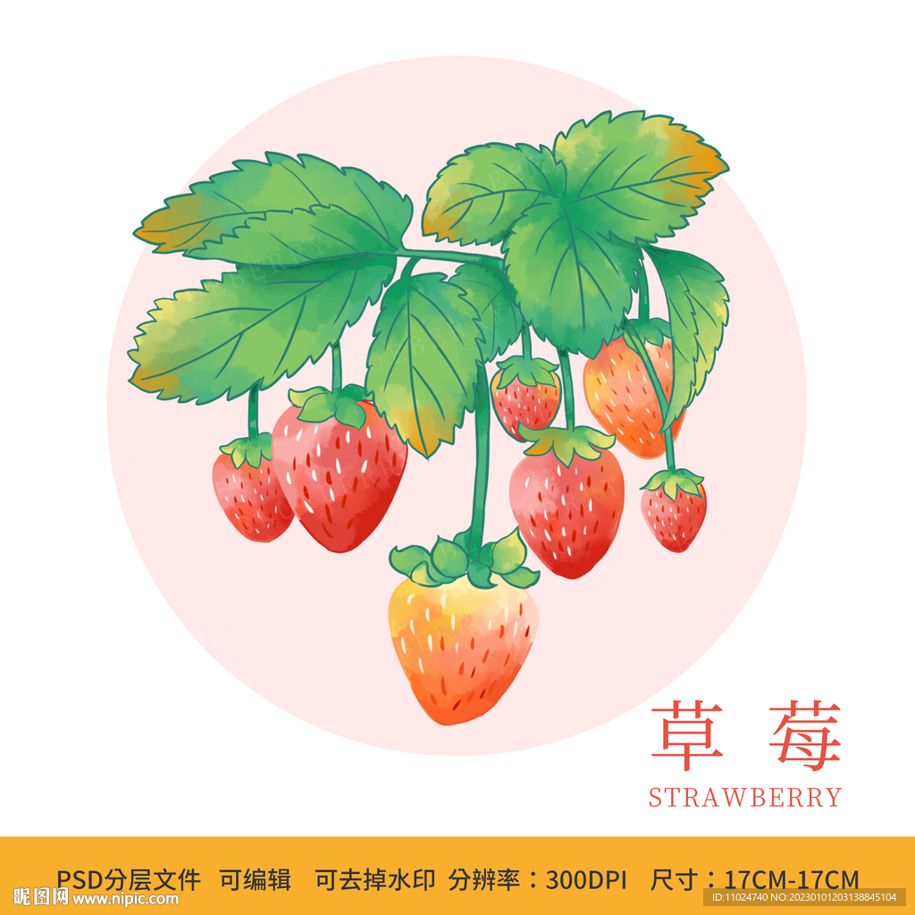 绘儿童卡通草莓设计图__水果_生物世界_设计图库_昵图网nipic.com