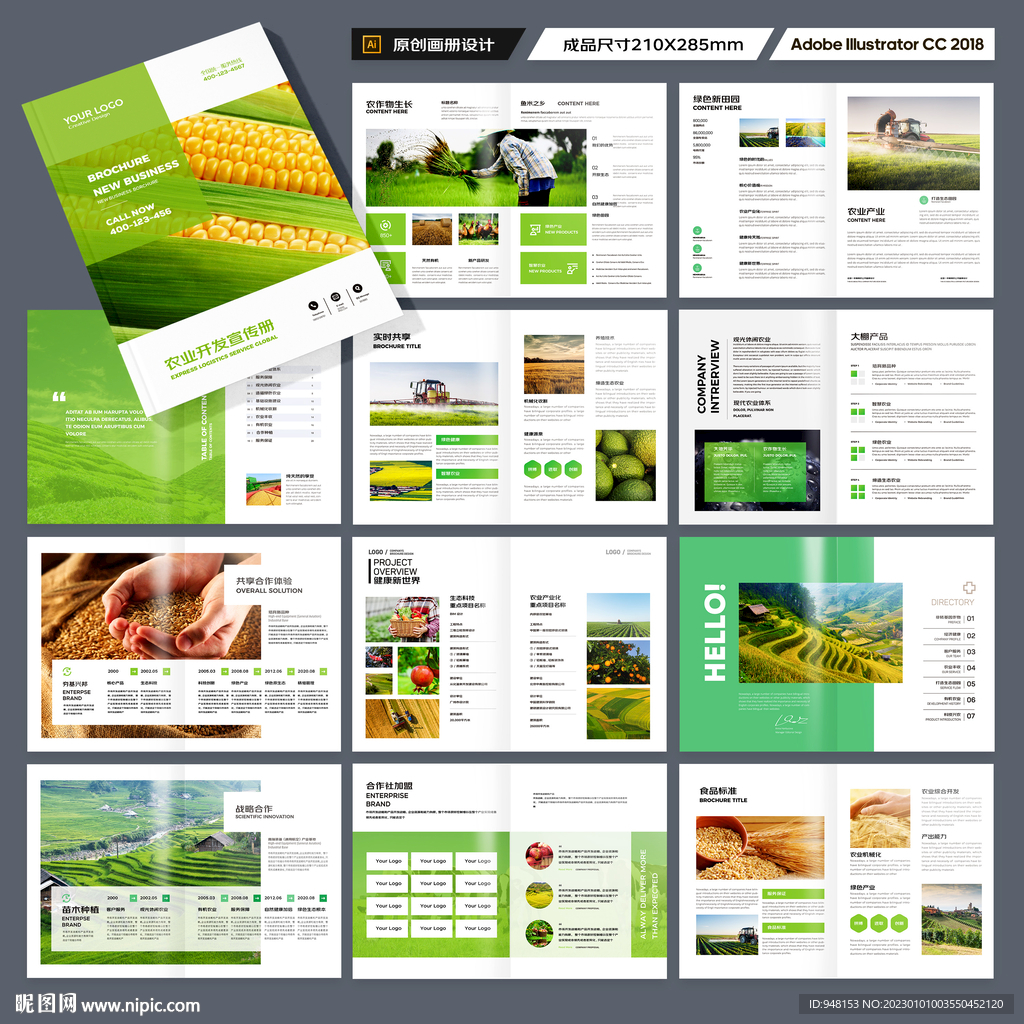 农产品宣传册