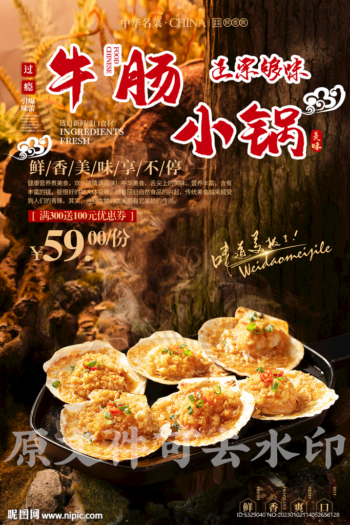 扇贝粉丝