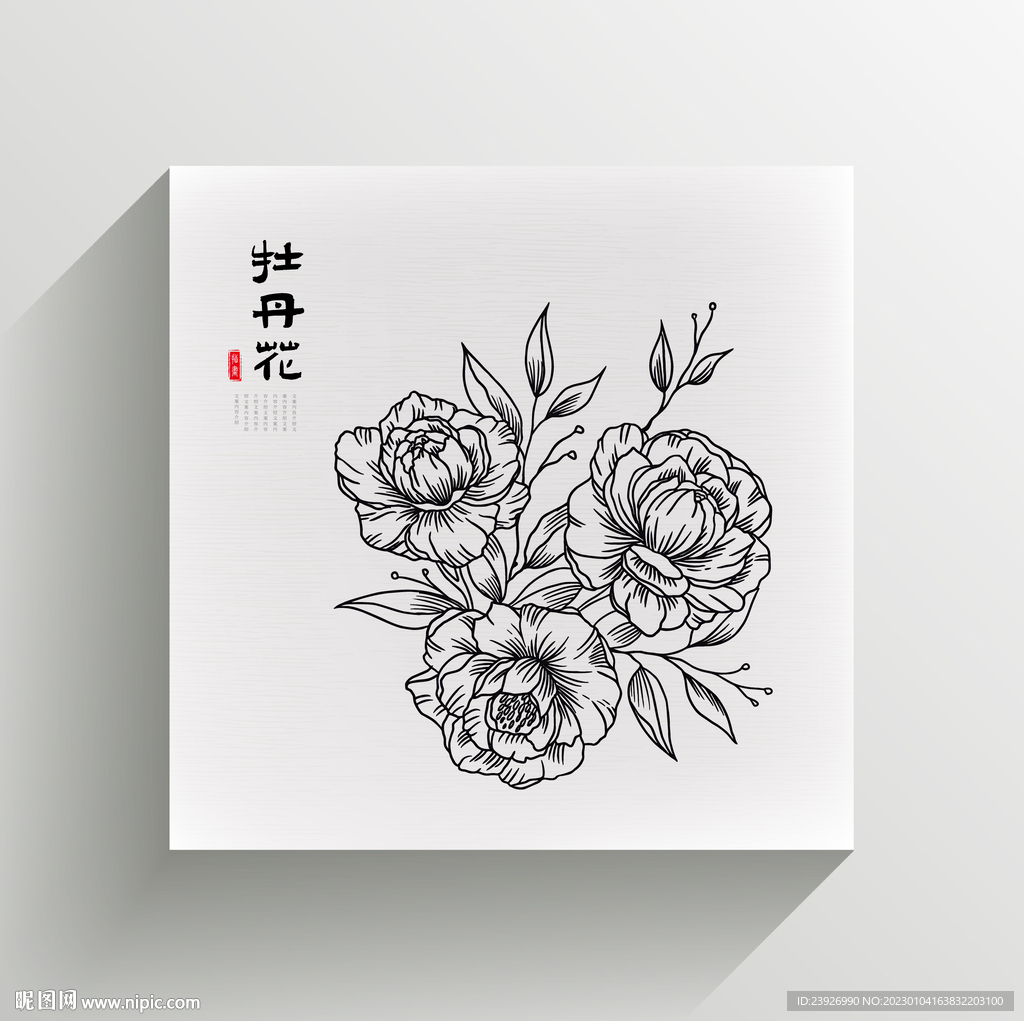 牡丹花线稿