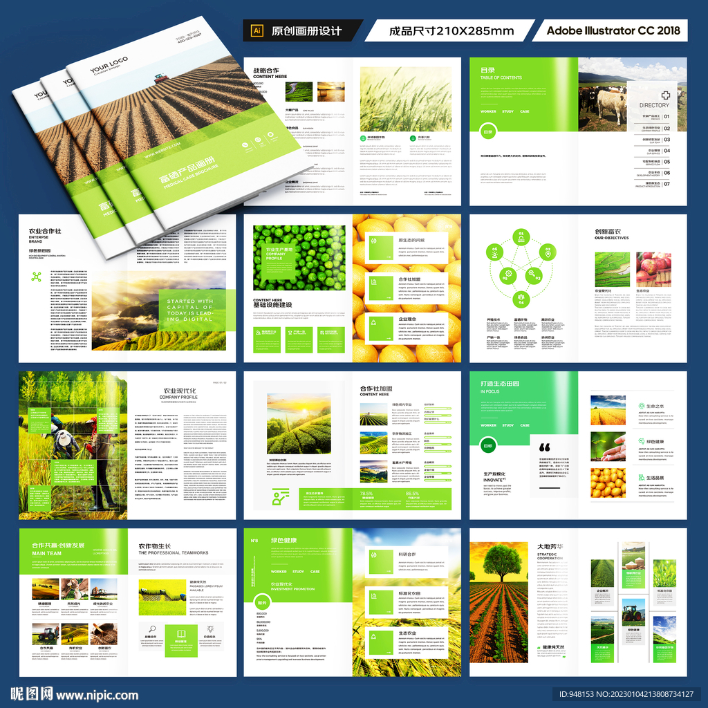 农业合作社画册