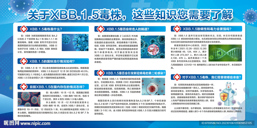 XBB变异毒株