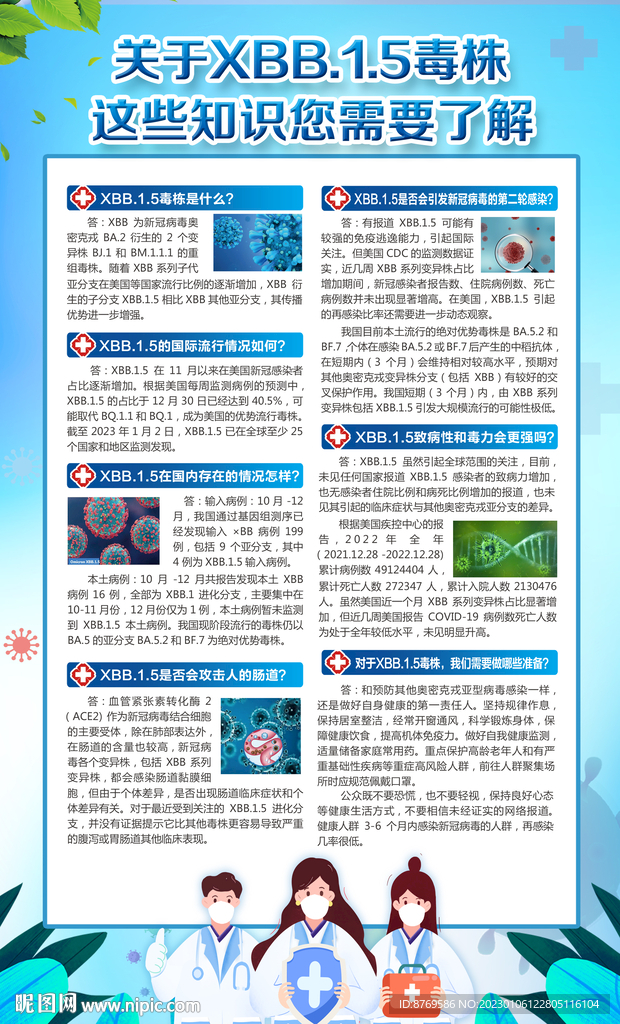 XBB毒株