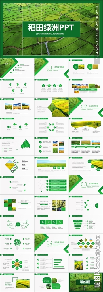 水稻农田绿洲大米PPT模板农业