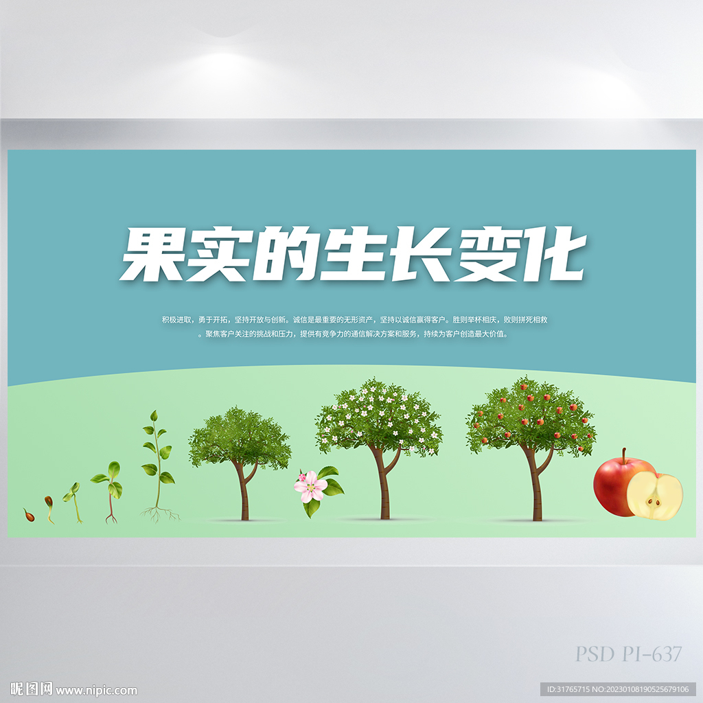 果实的生长变化展板海报