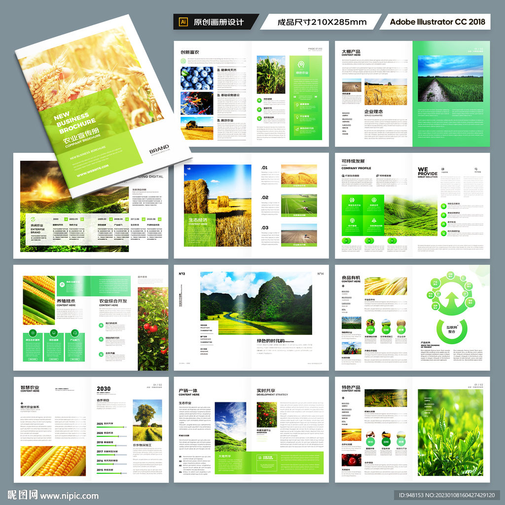 农产品画册