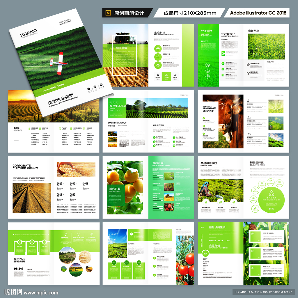 农产品宣传册