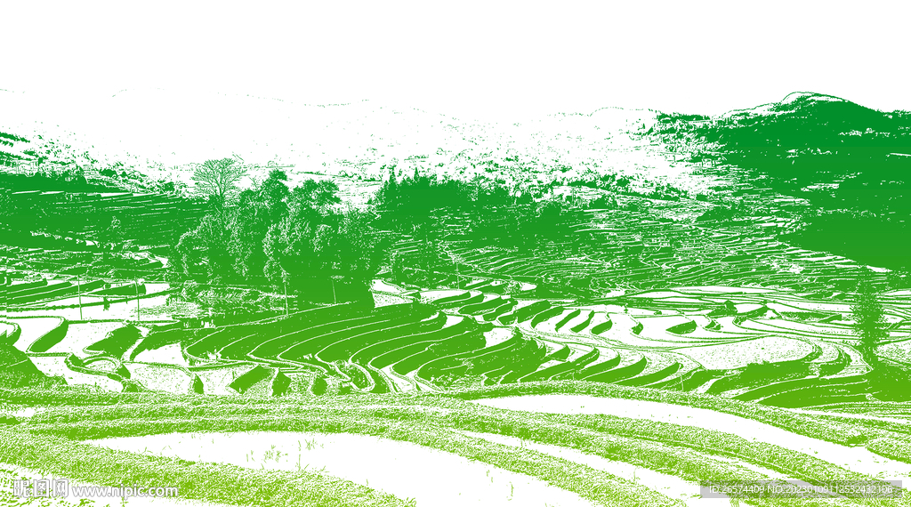 梯田