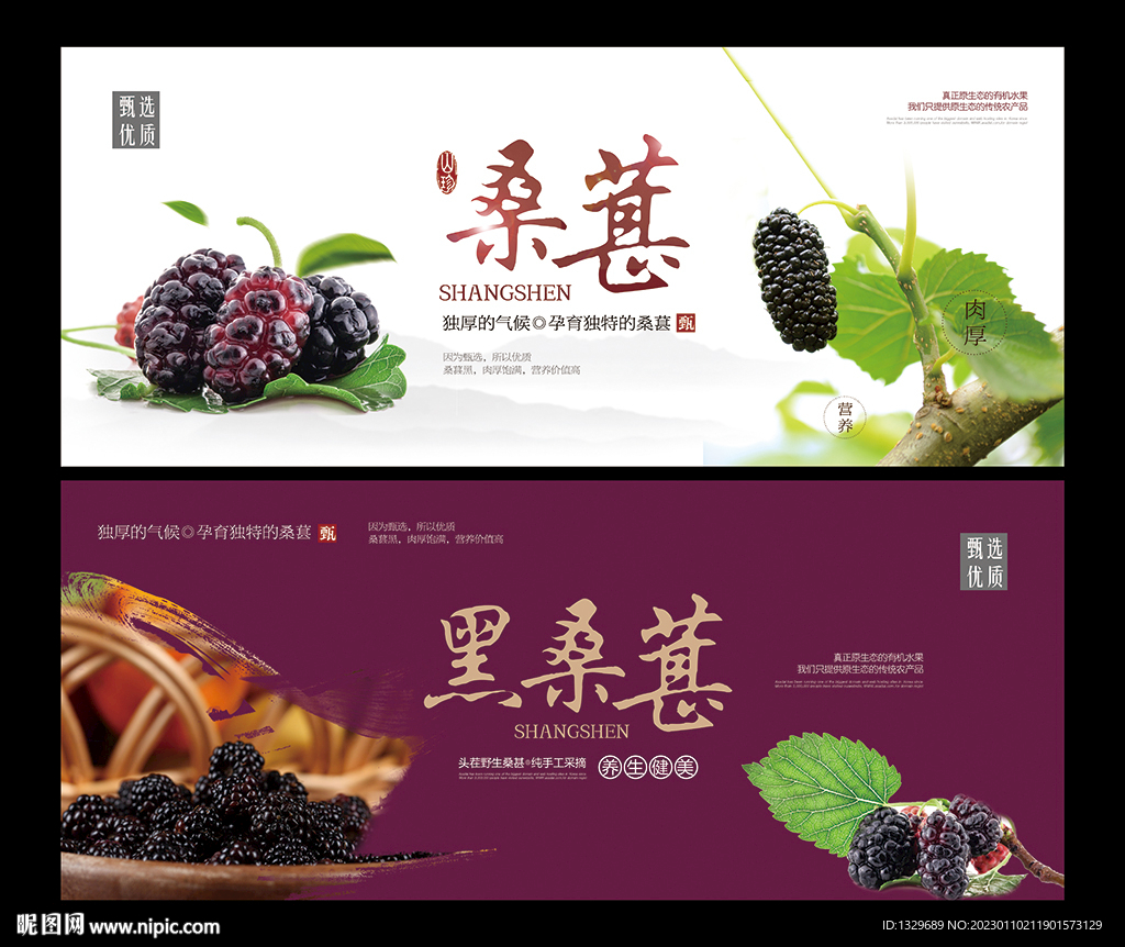 桑葚