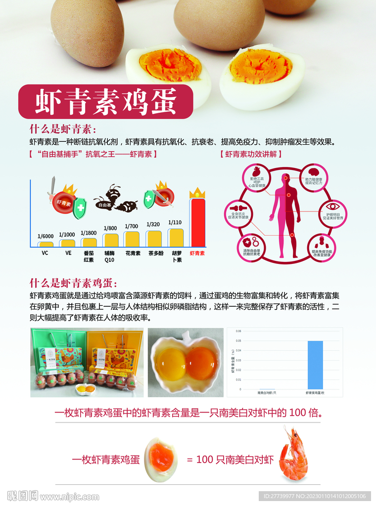 虾青素鸡蛋宣传单页