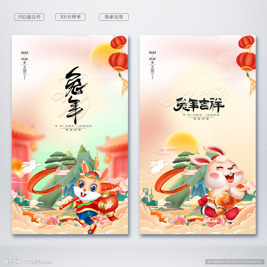 兔年