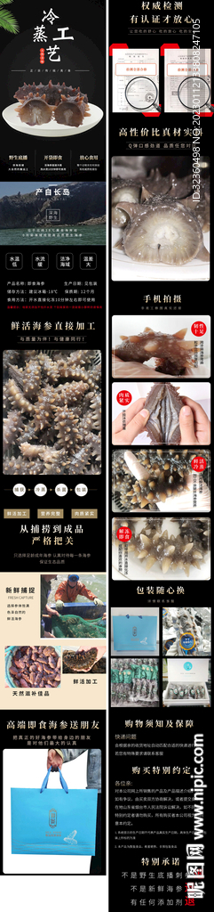 海参详情页图片
