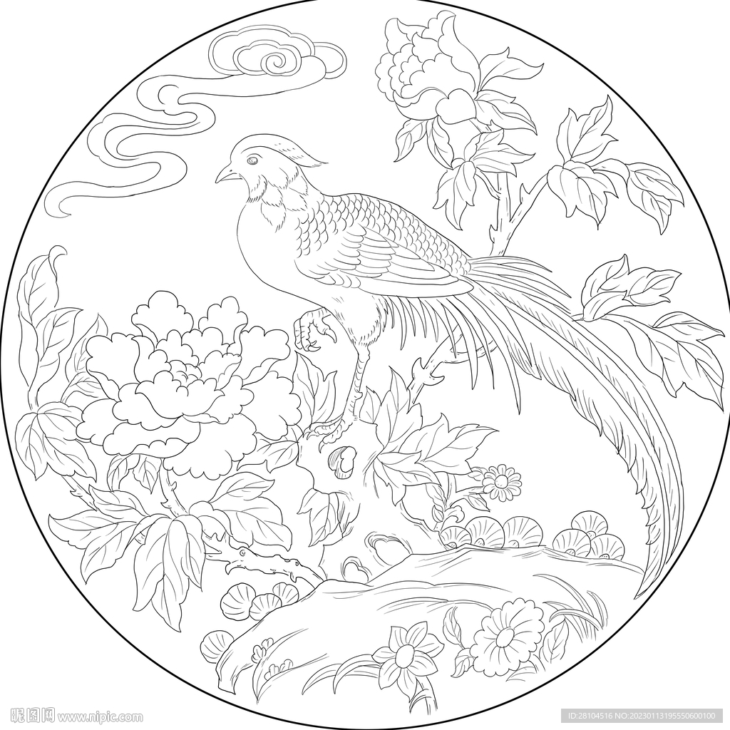 牡丹 