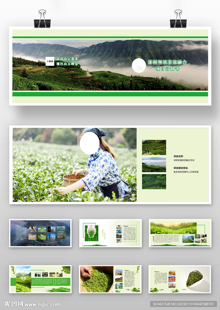 茶叶项目计划画册