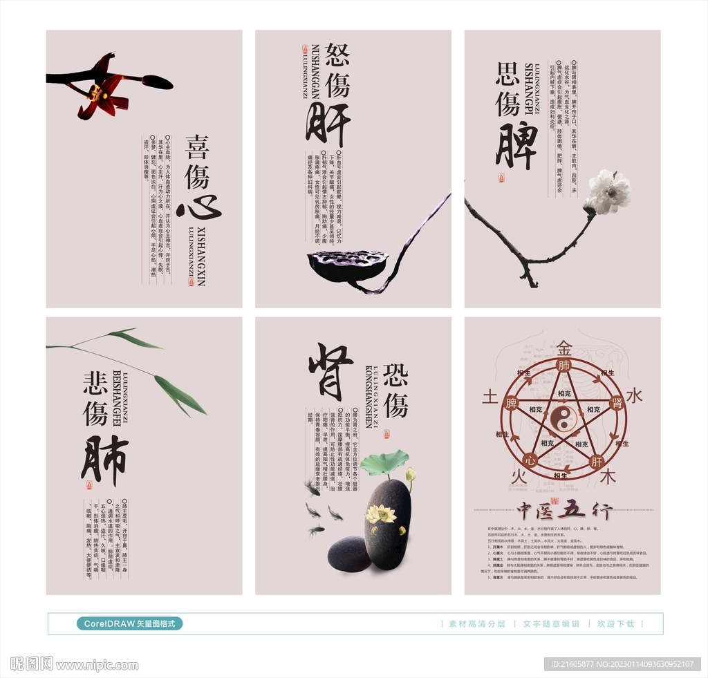 中医五行