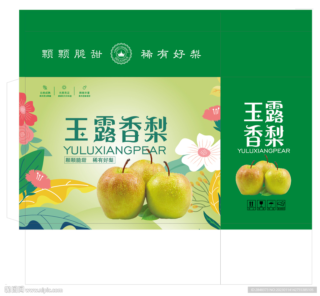 玉露香梨包装平面展开图