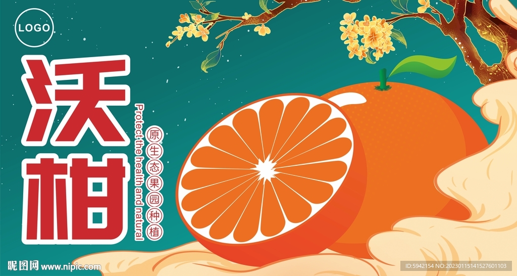 沃柑围框隔纸