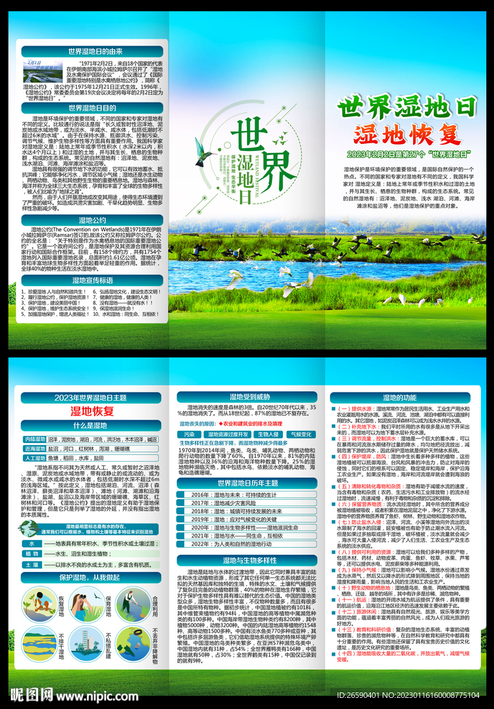 2023年世界湿地日三折页