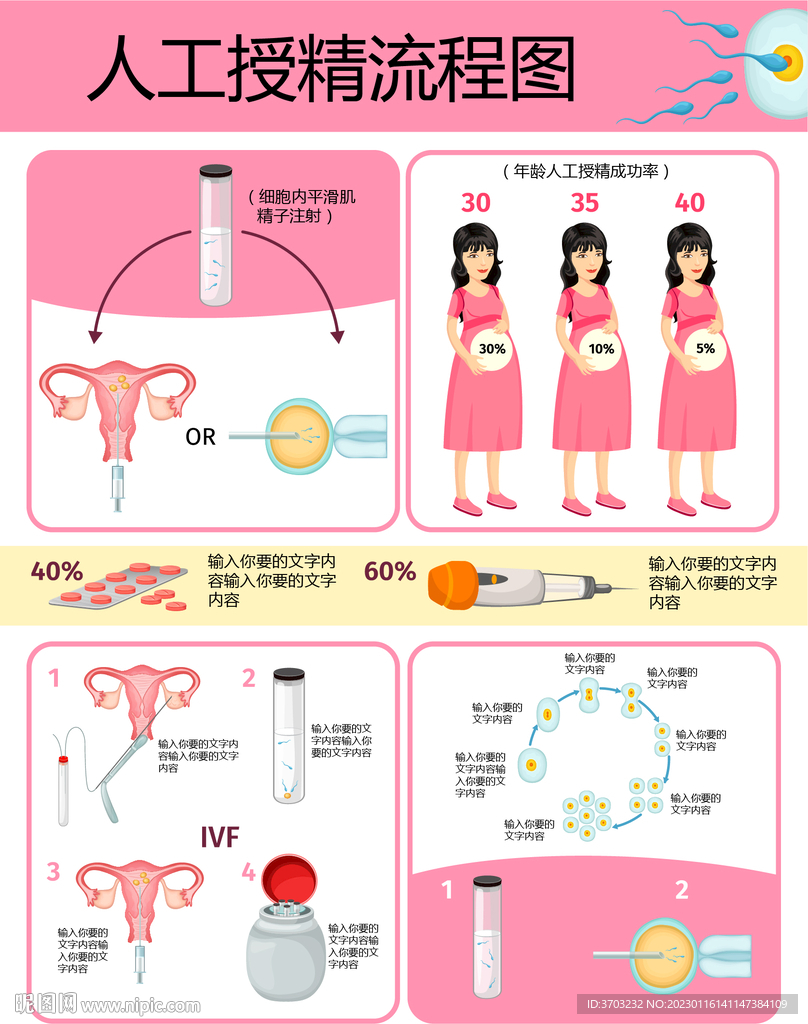 人工授精流程图图片