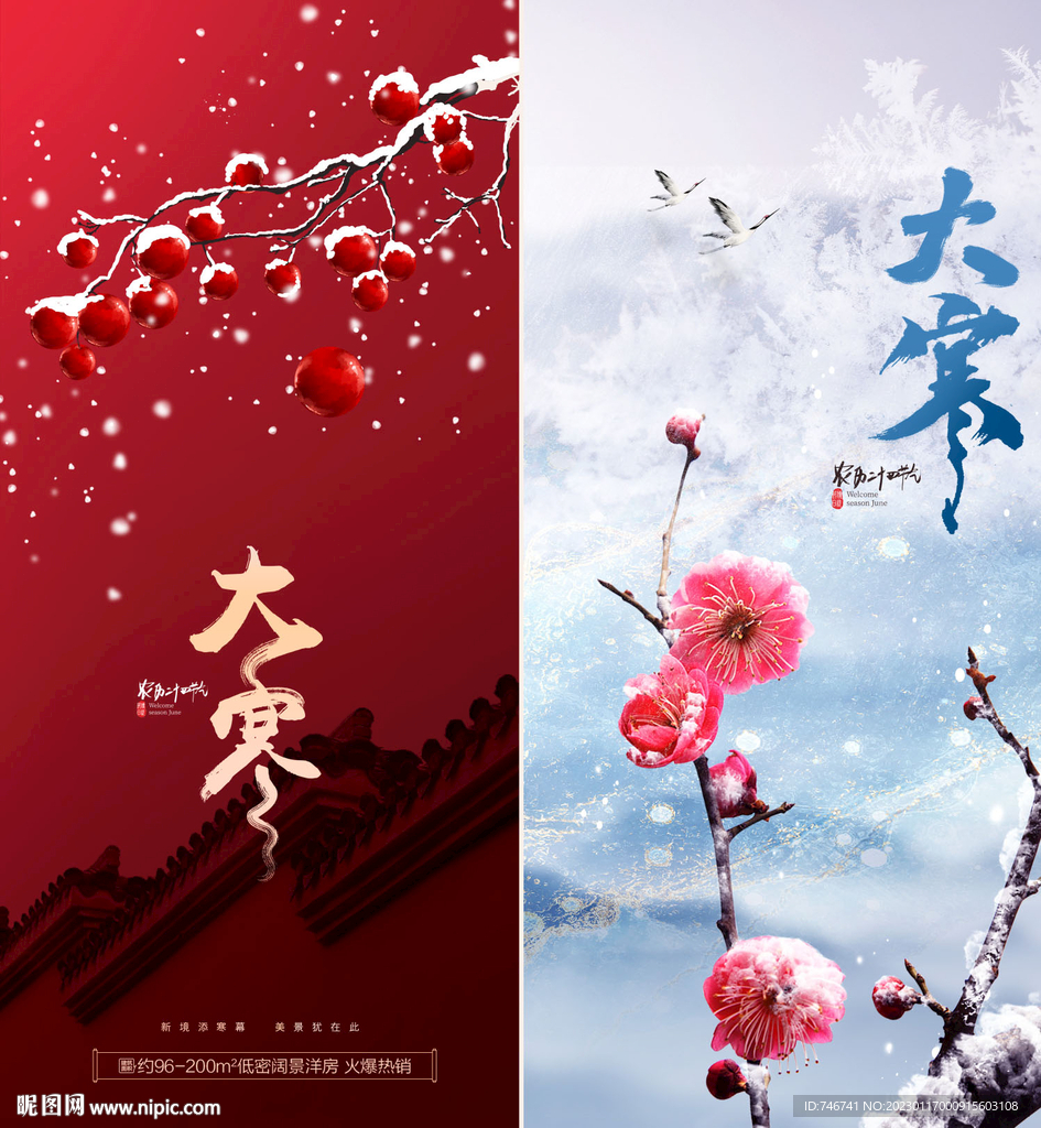 梅花节气大寒小寒