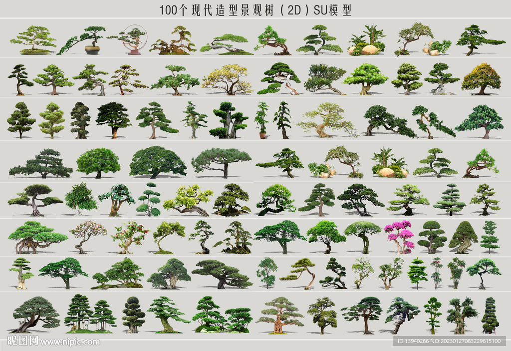 造型景观树